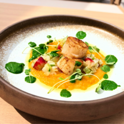 Seared Scallops from our dinner menu