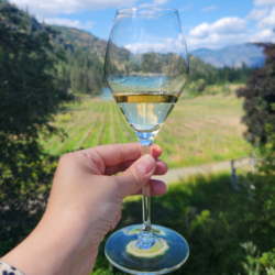 Ask about pairing the perfect Nighthawk wine with your meal